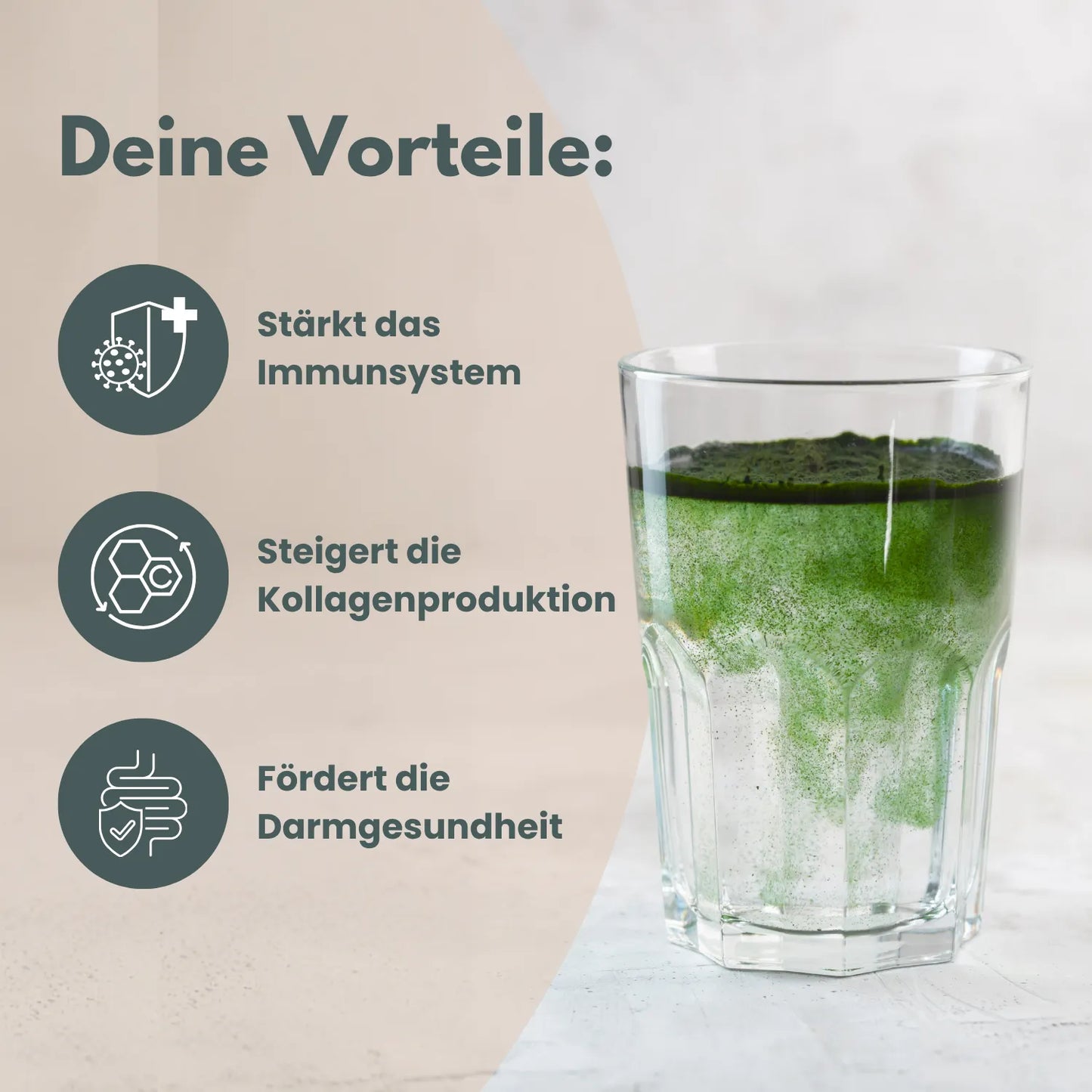 Vegan Collagen+Greens Halloween Probierpaket