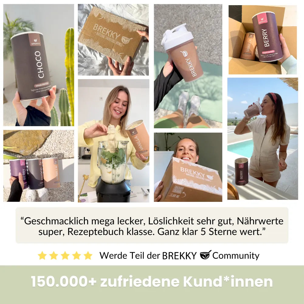 Veganes Premium Proteinpulver - Herbst Probierpaket mit GRATIS Gläsern