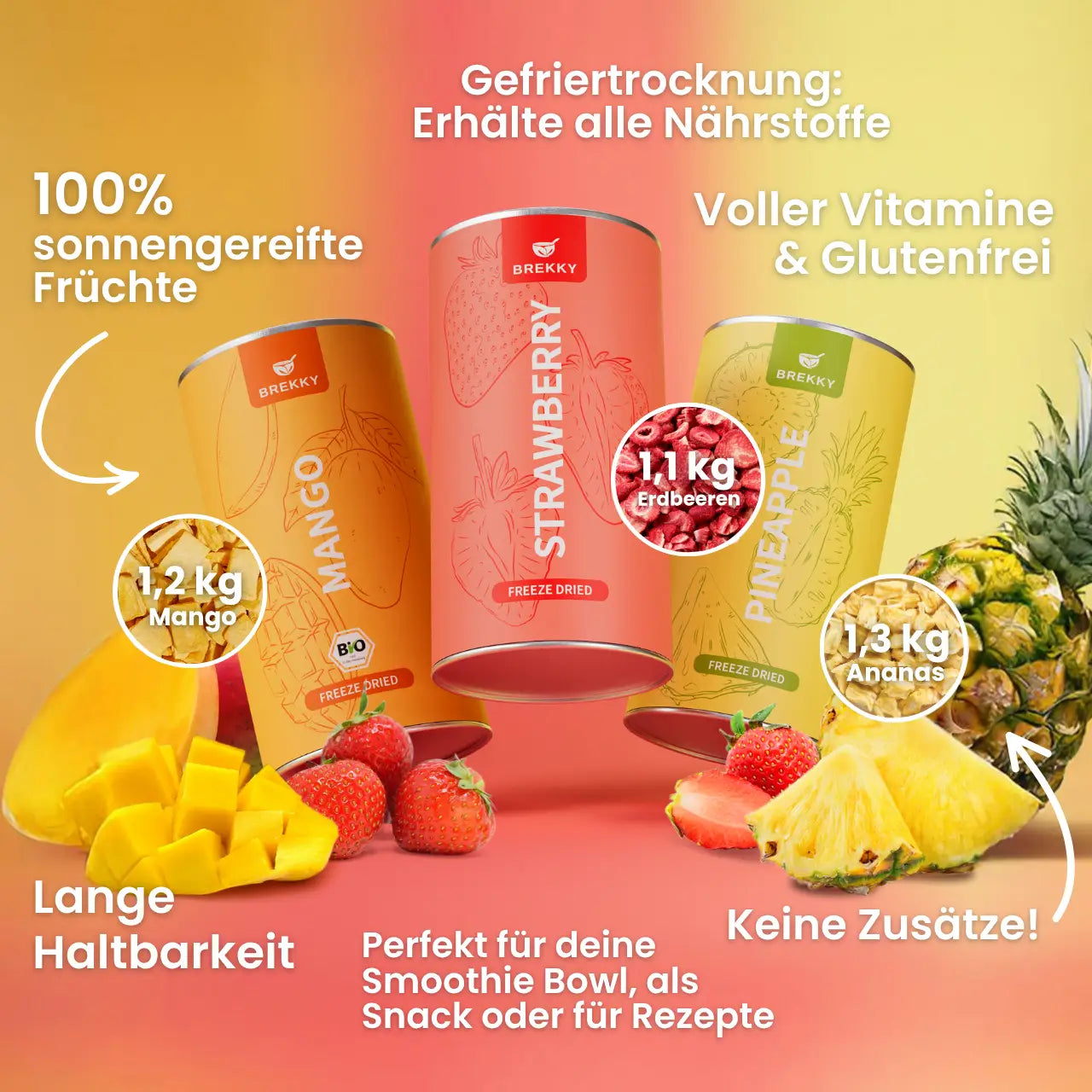 Gefriergetrocknete Früchte - Halloween Probierpaket