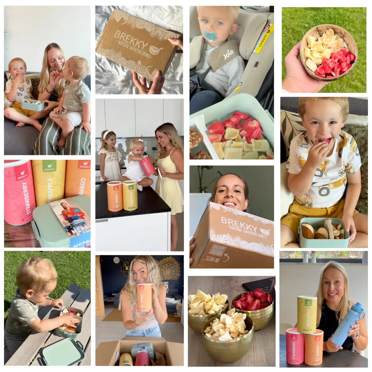 Gefriergetrocknete Früchte - Halloween Probierpaket