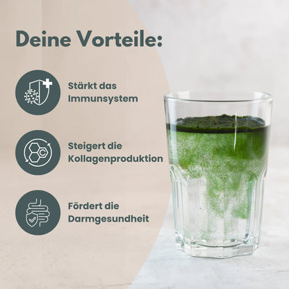 Vegan Collagen+Greens Halloween Probierpaket